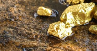 Day 14 – Pure Gold
